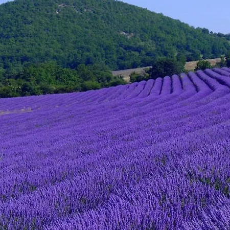Le Mouleyras Guest house 4*